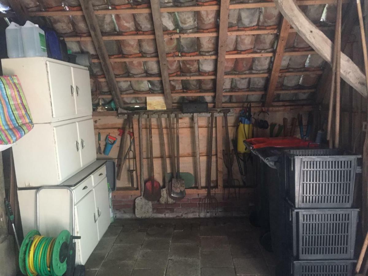 Boerderij Met Atelier Pensionat Dalfsen Exteriör bild