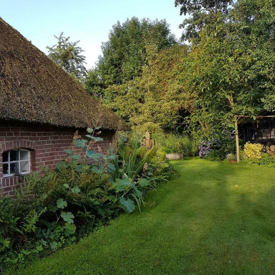 Boerderij Met Atelier Pensionat Dalfsen Exteriör bild